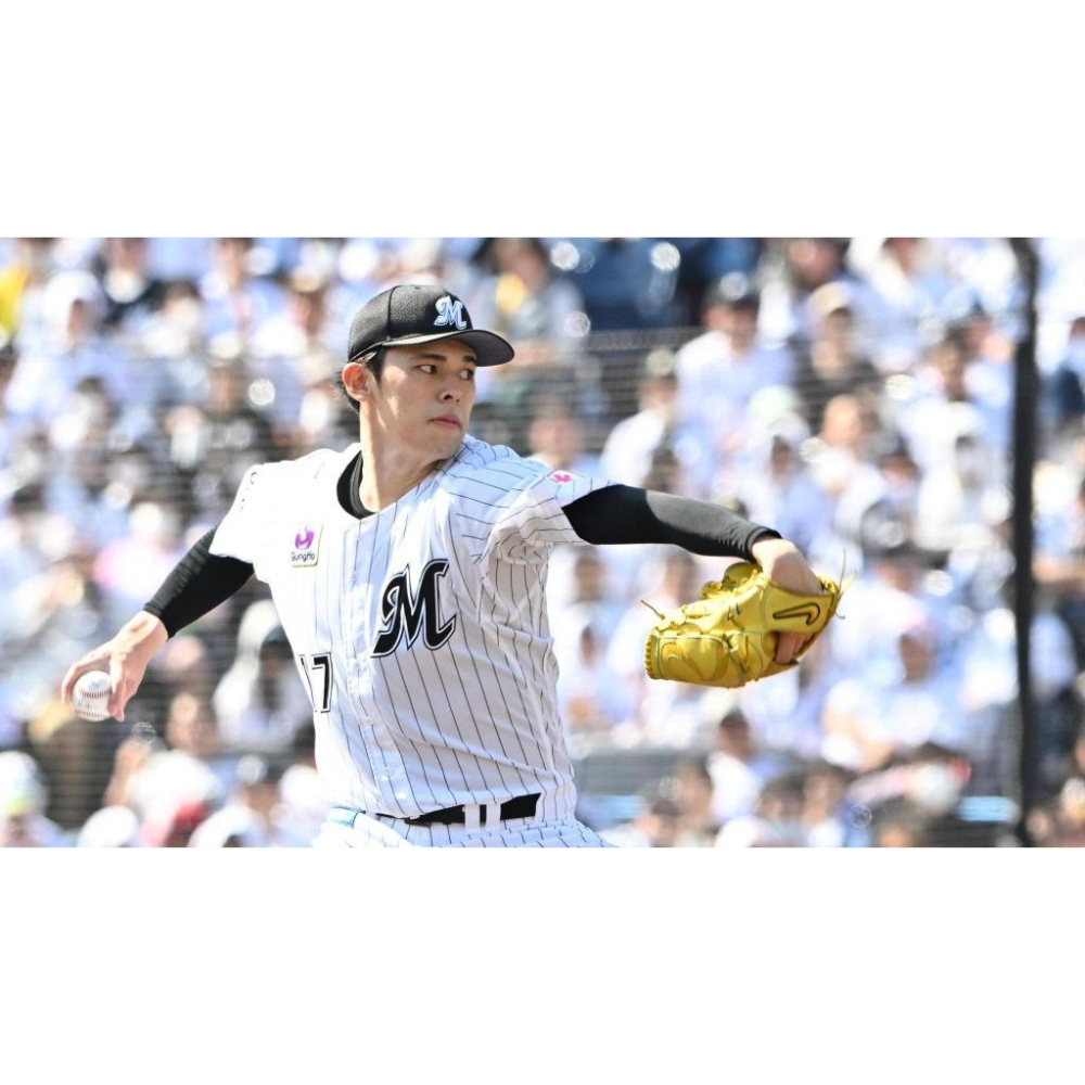 日本職棒 千葉羅德海洋 電繡 2018 50周年 LOTTE 50th 應援球衣 (罩衫 日職 NPB 棒球 刺繡 棒壘-細節圖8