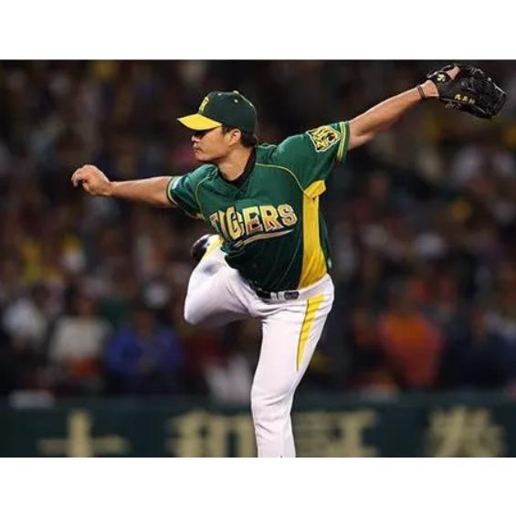 日本職棒 阪神虎 2014 虎之夏 綠色 短袖 單層風衣 (球衣 日職 電繡 NPB 棒球 棒壘 外套 練習衣 運動)-細節圖2