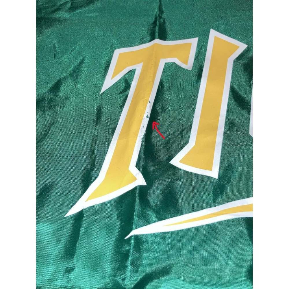 日本職棒 阪神虎 2014 虎之夏 綠色 短袖 單層風衣 (球衣 日職 電繡 NPB 棒球 棒壘 外套 練習衣 運動)-細節圖8