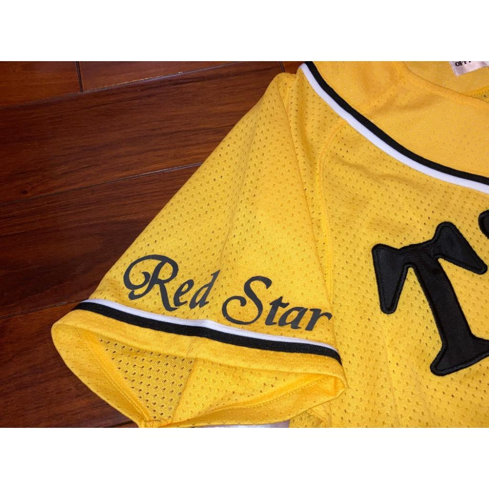 MIZUNO 阪神虎 刺繡 赤星憲廣 漢字 應援球衣 小尺寸S (罩衫 職棒 日職 日本 NPB 棒球 電繡 兄弟 憲広-細節圖3