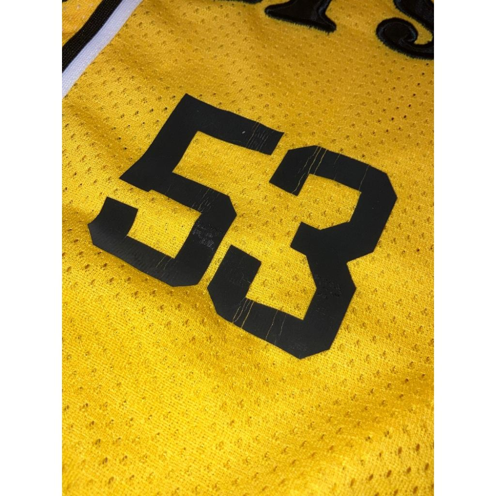 MIZUNO 阪神虎 刺繡 赤星憲廣 漢字 應援球衣 小尺寸S (罩衫 職棒 日職 日本 NPB 棒球 電繡 兄弟 憲広-細節圖5