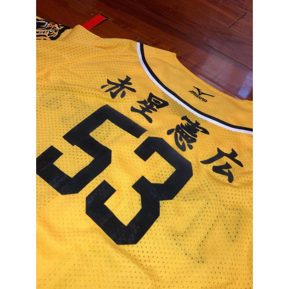 MIZUNO 阪神虎 刺繡 赤星憲廣 漢字 應援球衣 小尺寸S (罩衫 職棒 日職 日本 NPB 棒球 電繡 兄弟 憲広-細節圖6
