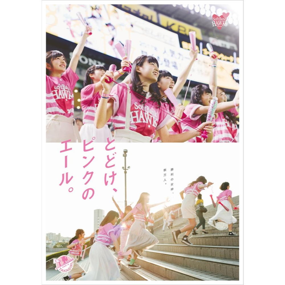 軟銀鷹 2017 女孩球衣(應援 罩衫 職棒 日職 日本 NPB 棒球 棒壘 粉紅 moussy 大童)-細節圖2