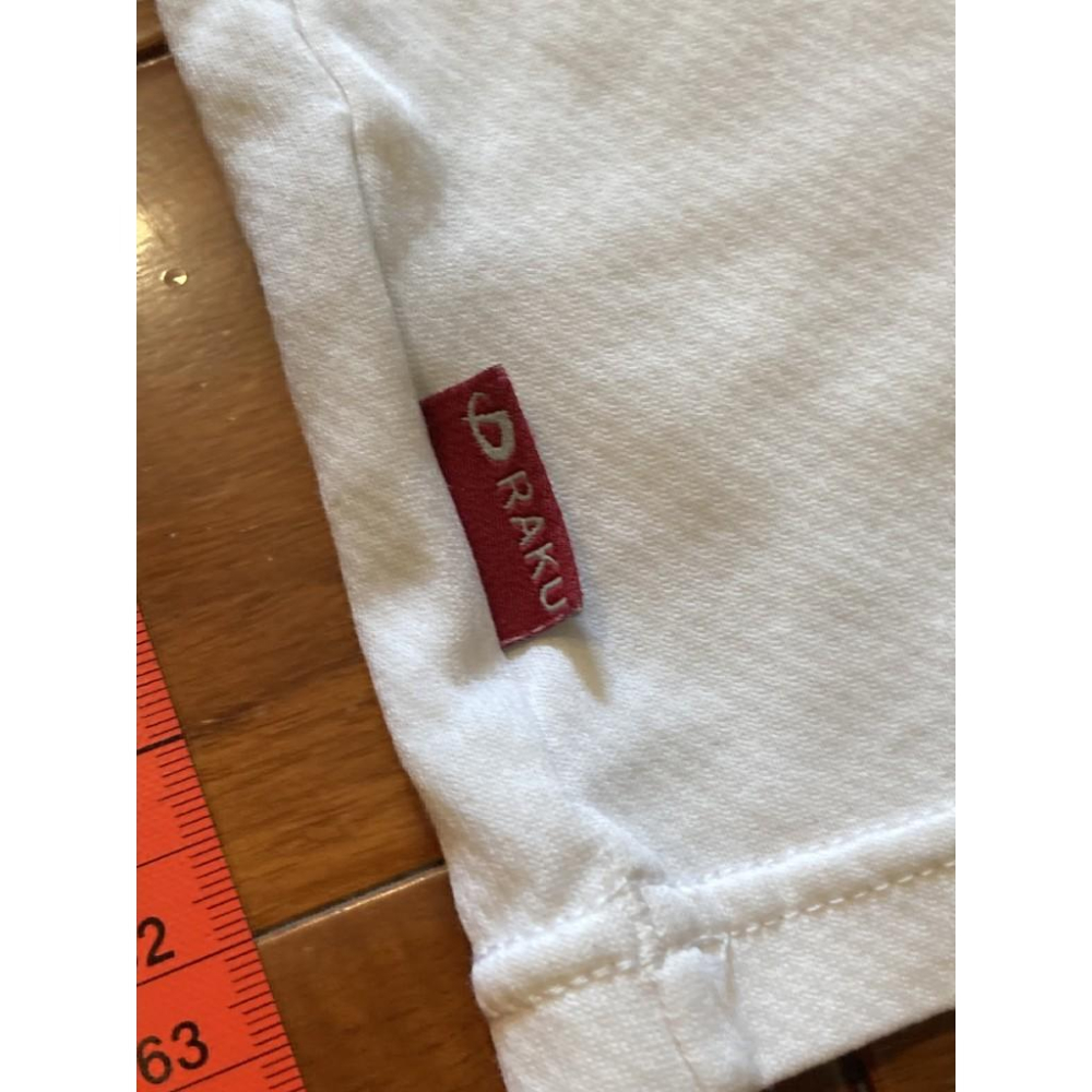 日本製 日本職棒 阪神虎 金本知憲 引退紀念 銀古聯名 排汗短T (球衣 日職 NPB 棒球 棒壘 運動 練習衣)-細節圖7