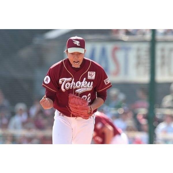 全新 日本職棒 東北樂天金鷲 2015 FANS＇ 主題日 應援球衣 L(罩衫 金鶯 日職 NPB 棒球 棒壘)-細節圖2