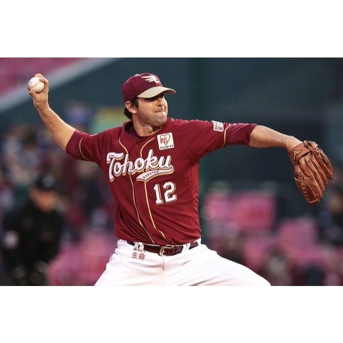 全新 日本職棒 東北樂天金鷲 2015 FANS＇ 主題日 應援球衣 L(罩衫 金鶯 日職 NPB 棒球 棒壘)-細節圖3