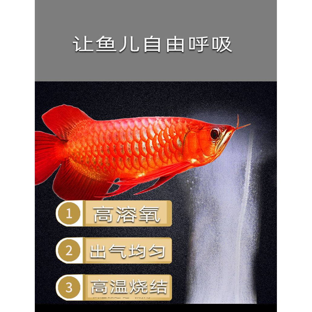 奈米霧化氣泡盤-細節圖2