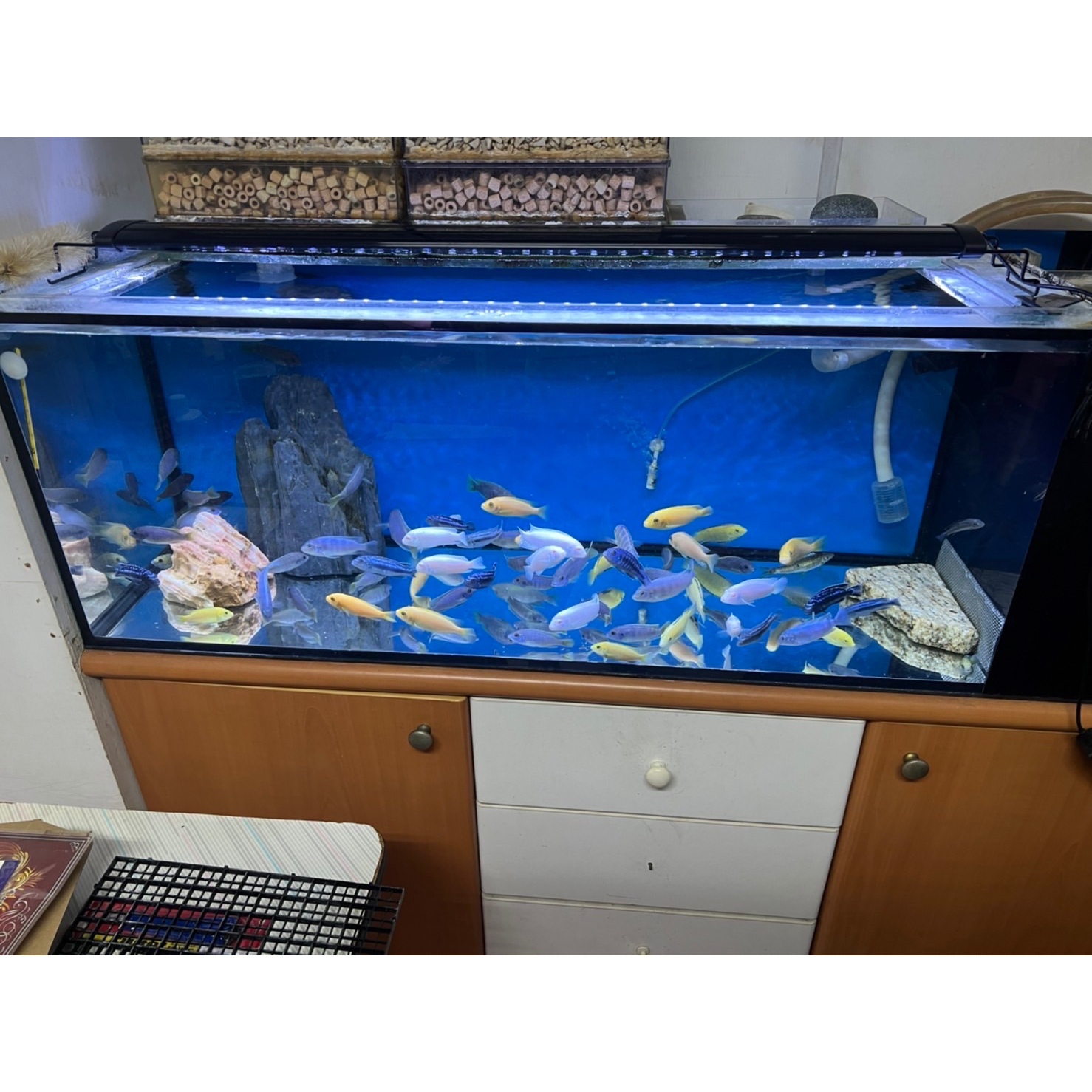 三段變色三尺燈~四尺燈~五尺燈-細節圖4