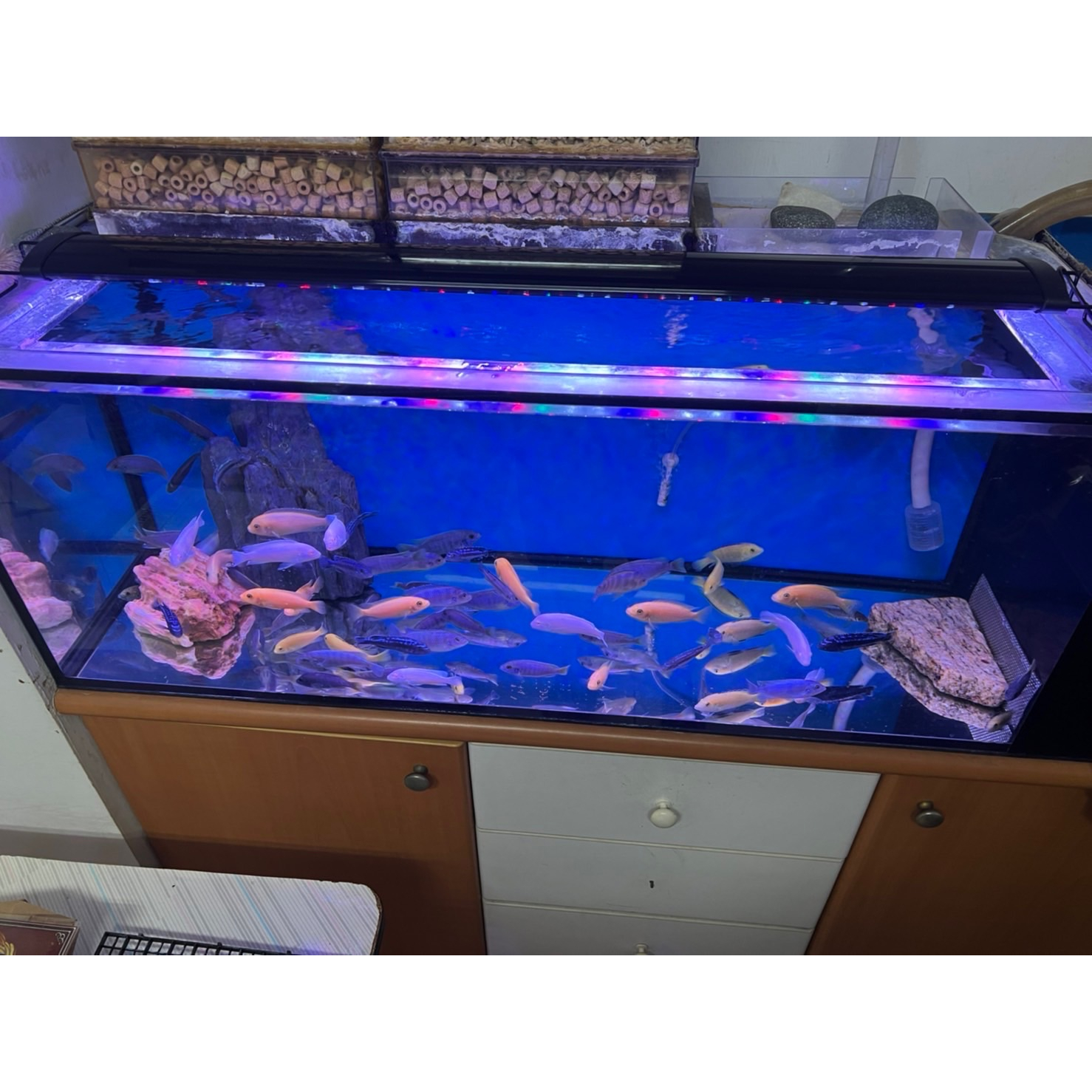 三段變色三尺燈~四尺燈~五尺燈-細節圖5