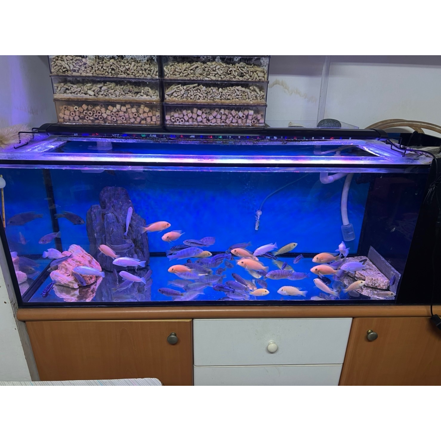 三段變色三尺燈~四尺燈~五尺燈-細節圖6