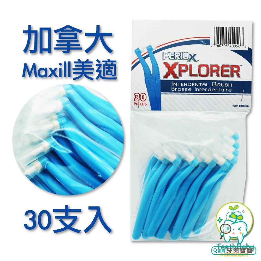 加拿大美適Maxill 單束毛牙刷(30入)-細節圖2