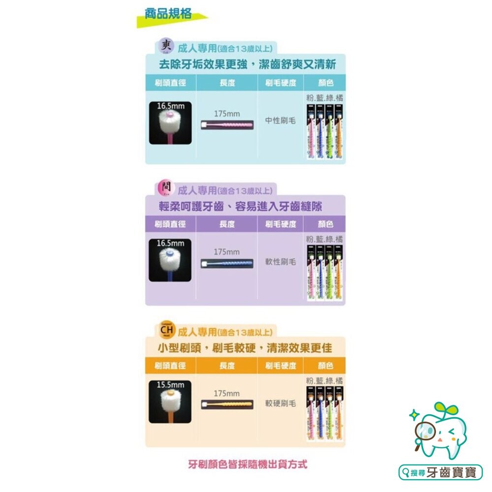 日本STB 蒲公英360度纖柔刷毛幼兒/兒童牙刷/成人 (爽/間/ch)-細節圖5
