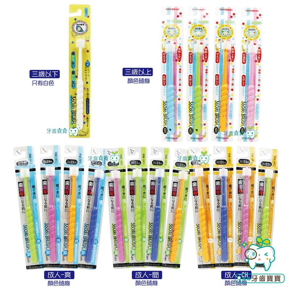 日本STB 蒲公英360度纖柔刷毛 幼兒兒童成人(爽/間/ch)-細節圖4