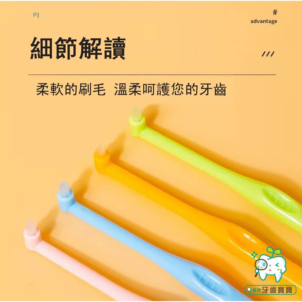 LERCH兩支組合小尖頭小圓頭 單束毛牙刷一組(2入) 單束毛 矯正牙刷單束刷矯正牙齒專用口腔牙科寵物刷牙縫清潔-細節圖3