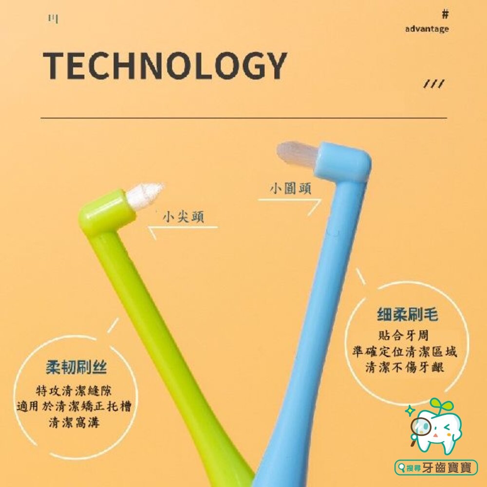 LERCH兩支組合小尖頭小圓頭 單束毛牙刷一組(2入) 單束毛 矯正牙刷單束刷矯正牙齒專用口腔牙科寵物刷牙縫清潔-細節圖5