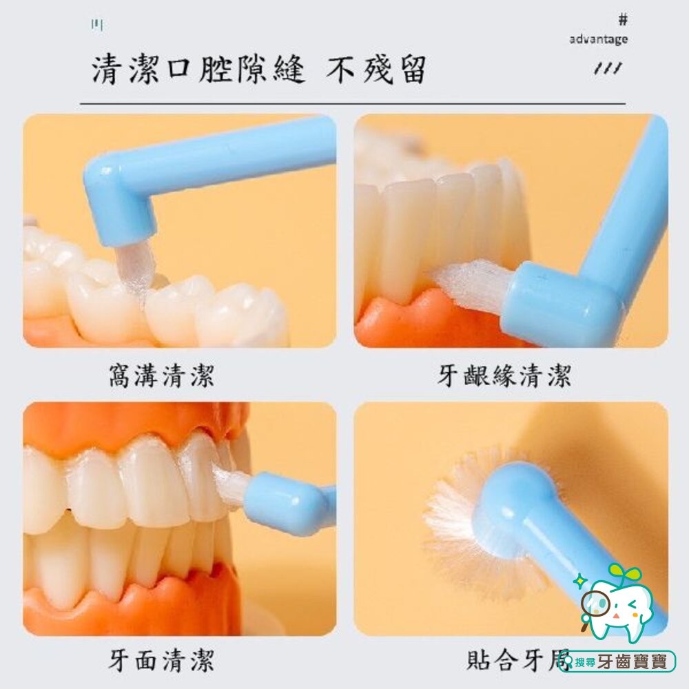 LERCH兩支組合小尖頭小圓頭 單束毛牙刷一組(2入) 單束毛 矯正牙刷單束刷矯正牙齒專用口腔牙科寵物刷牙縫清潔-細節圖8