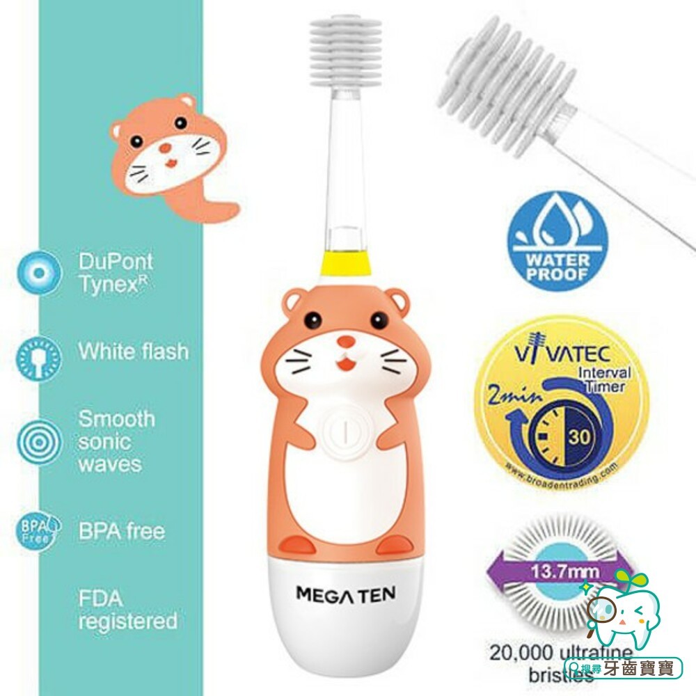 頂級款 Vivatec 創新升級‧5倍清潔力(機身+一隻刷頭)-細節圖2