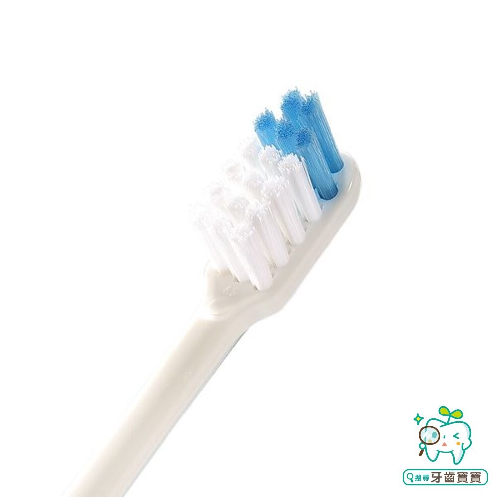 刷樂Shallop 臼齒專研牙刷5支入-細節圖4