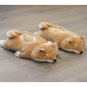 柴犬
