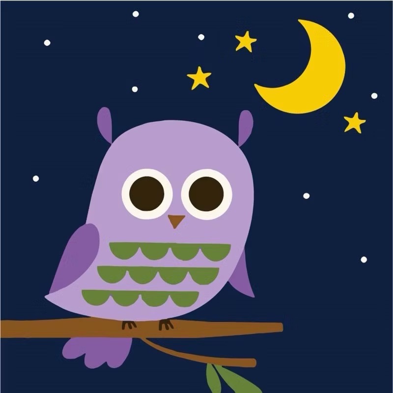 星空貓頭鷹