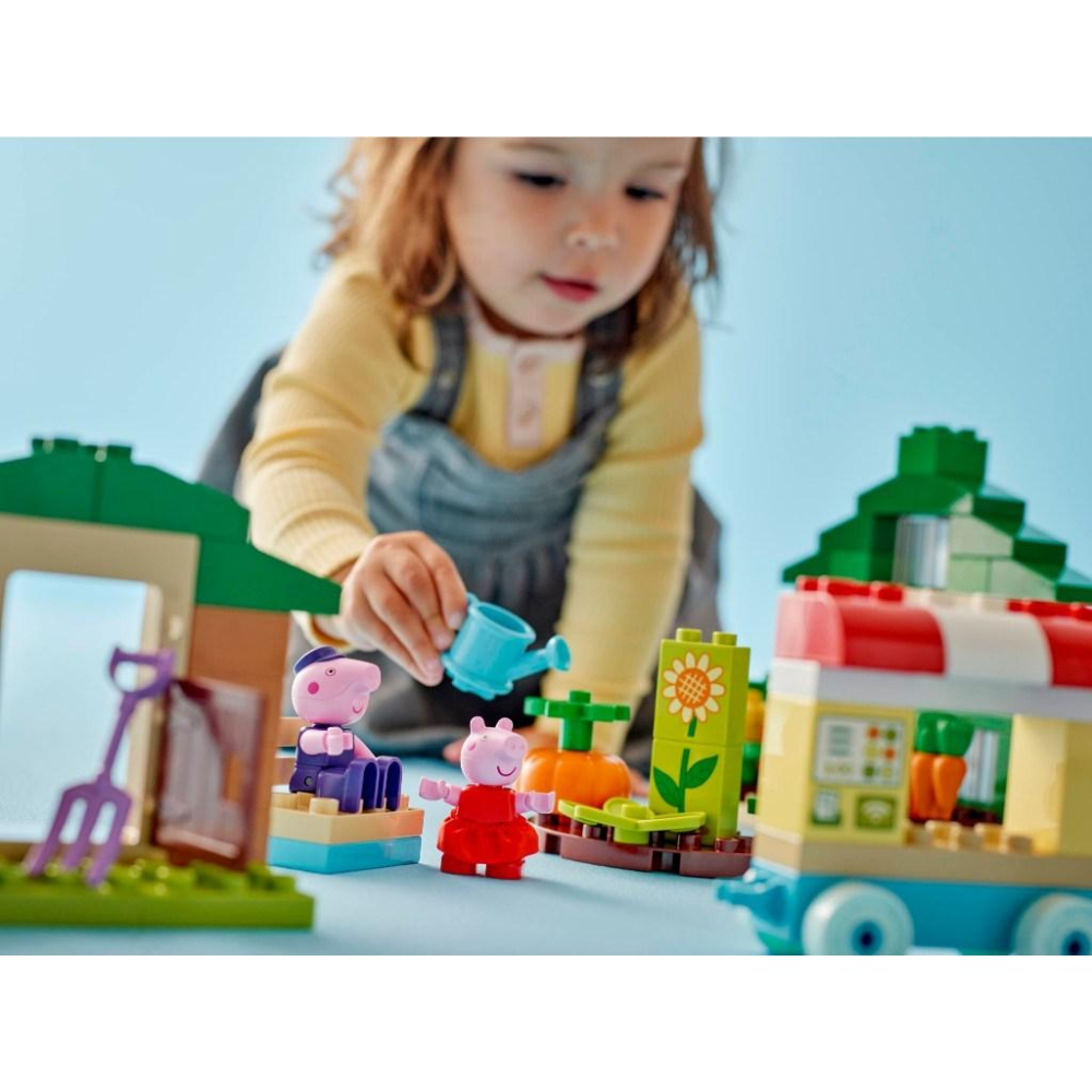 [大王機器人] 樂高 LEGO 10461 爺爺的菜園和溫室 樂高® 得寶 LEGO® Duplo系列 零件數：102-細節圖3