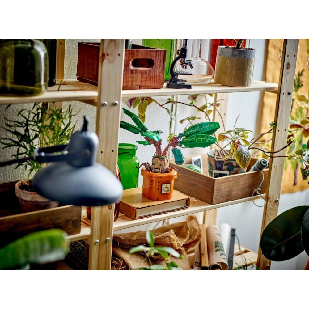 [大王機器人] 樂高 LEGO 76433 哈利波特 Mandrake 曼德拉草 尖叫魔蘋果-細節圖6