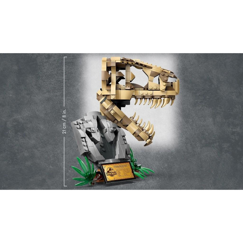 [大王機器人] 樂高 LEGO 76964 侏儸紀世界 T. rex Skull-細節圖3