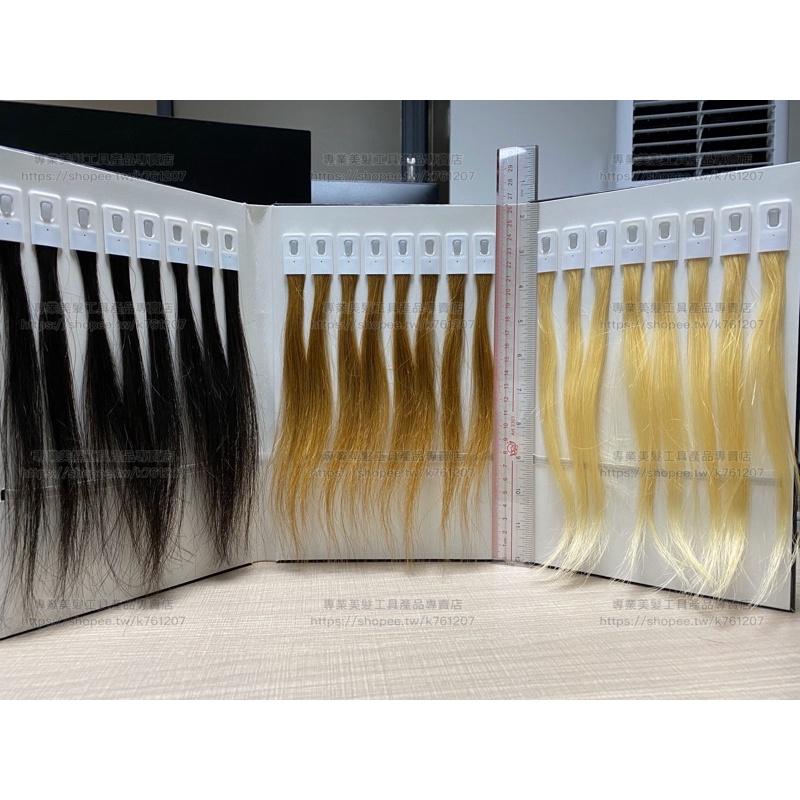 【優惠活動】現貨 髮束定位卡 色卡本 髮廊專用 色彩大師 髮條 染髮束 全真髮 染髮髮束 染劑 學院 試色髮條 美髮工具-細節圖6