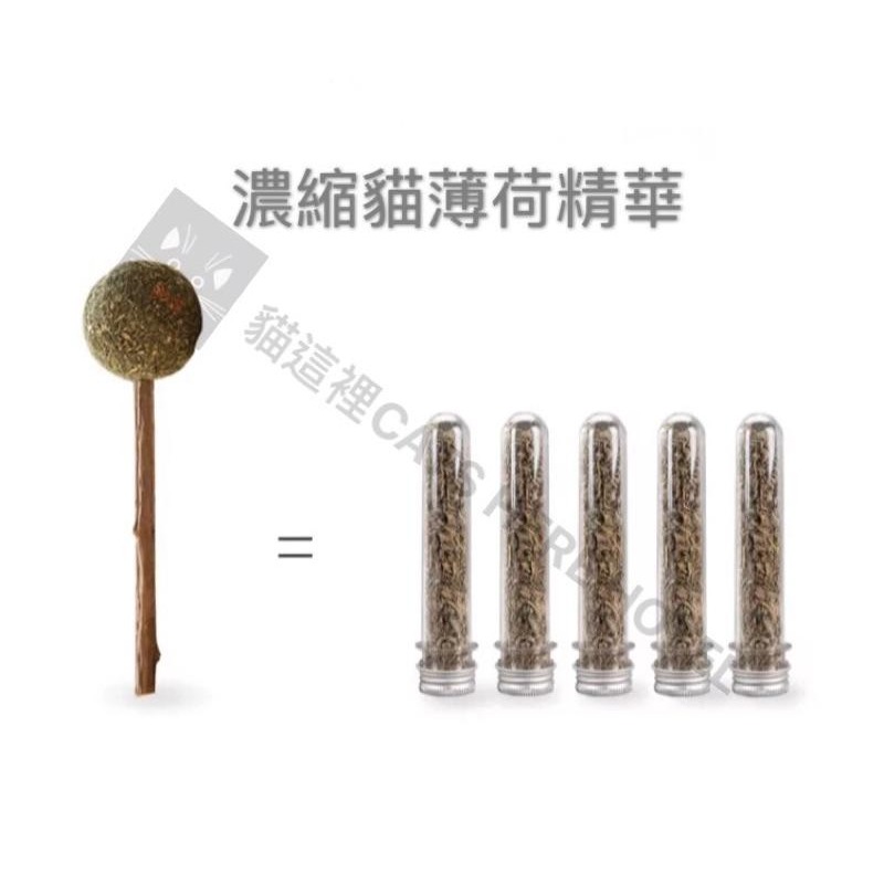 【貓咪玩具】貓這裡 現貨 貓薄荷貓咪玩具 貓草棒棒糖 木天蓼棒棒糖 貓咪天然潔牙棒-細節圖5