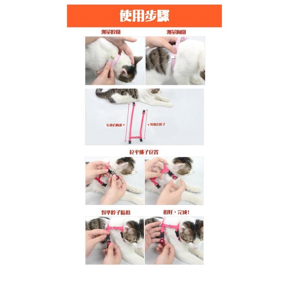 【貓咪用品】現貨 溜貓必備工字型牽引帶 貓咪牽引繩 寵物牽引帶項圈 防鬆脫-細節圖4