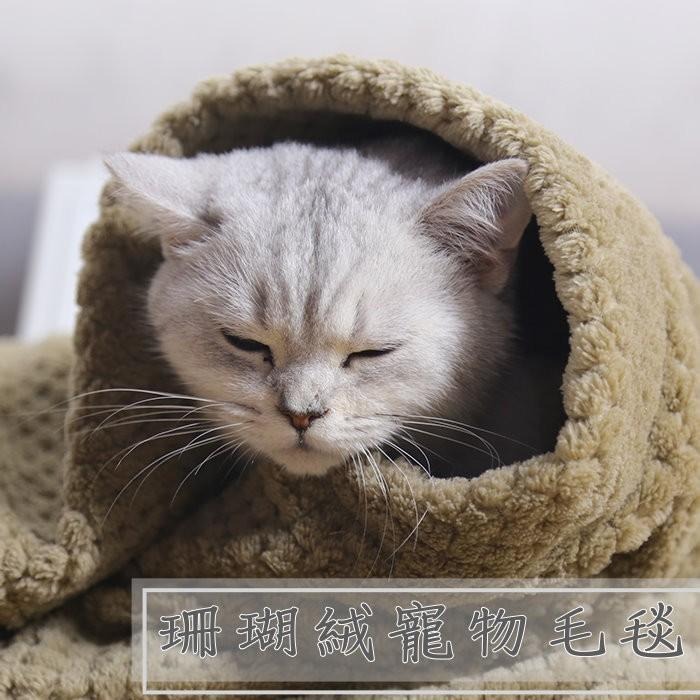 【貓咪用品】貓這裡 現貨 珊瑚絨寵物毛毯 寵物毯子 貓窩墊 毛毯 珊瑚絨 寵物保暖毯 冷氣毯-細節圖2
