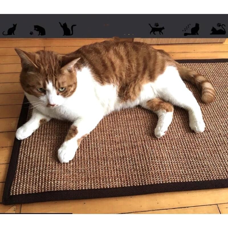 【貓咪玩具】貓這裡 現貨 貓抓板 劍麻地毯 天然劍麻 貓咪玩具 磨爪墊 貓抓墊-細節圖2