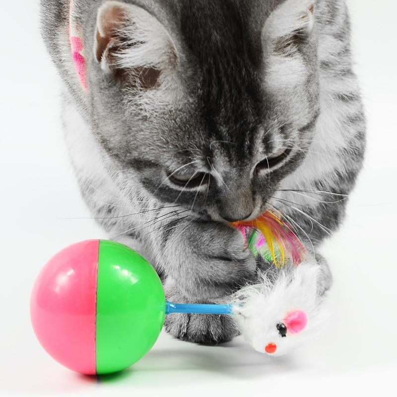 【貓咪玩具】貓這裡 不倒翁玩具 毛絨老鼠 貓咪互動玩具 貓咪玩具球-細節圖3