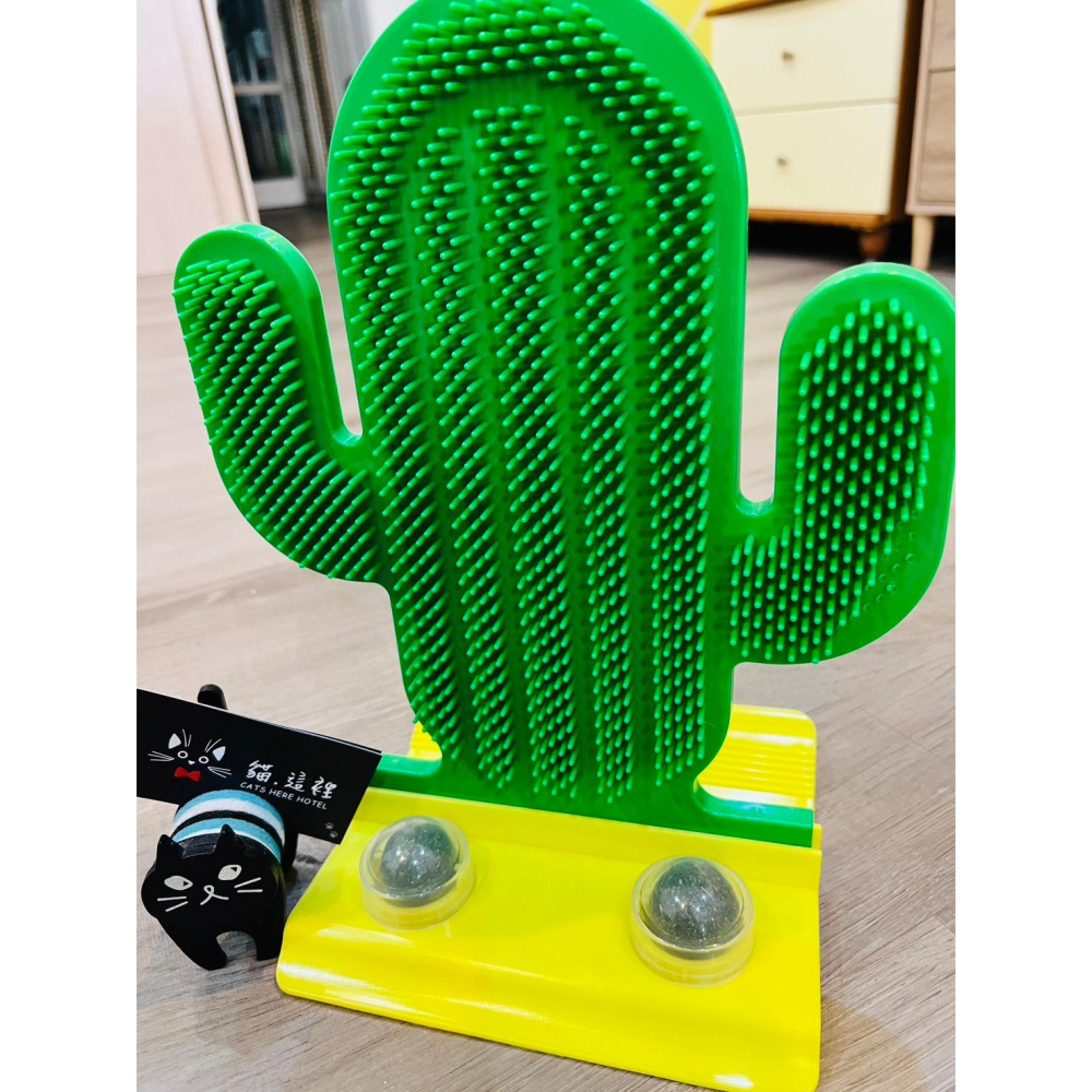 【貓咪玩具】貓這裡 可愛仙人掌 貓咪蹭蹭 貓牆角蹭 蹭癢癢器 按摩刷 貓抓板-細節圖2