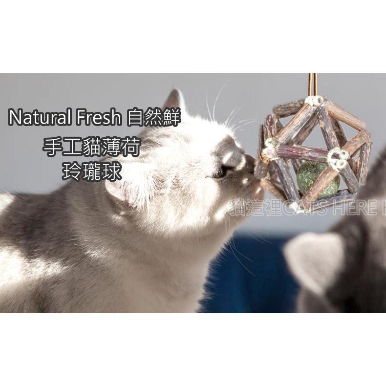 【貓咪玩具】貓這裡 現貨 Natural Fresh 自然鮮 天然木天蓼 手工貓薄荷玲瓏球(大)-細節圖3