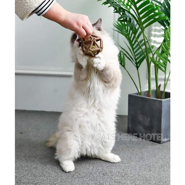 【貓咪玩具】貓這裡 現貨 Natural Fresh 自然鮮 天然木天蓼 手工貓薄荷玲瓏球(大)-細節圖5