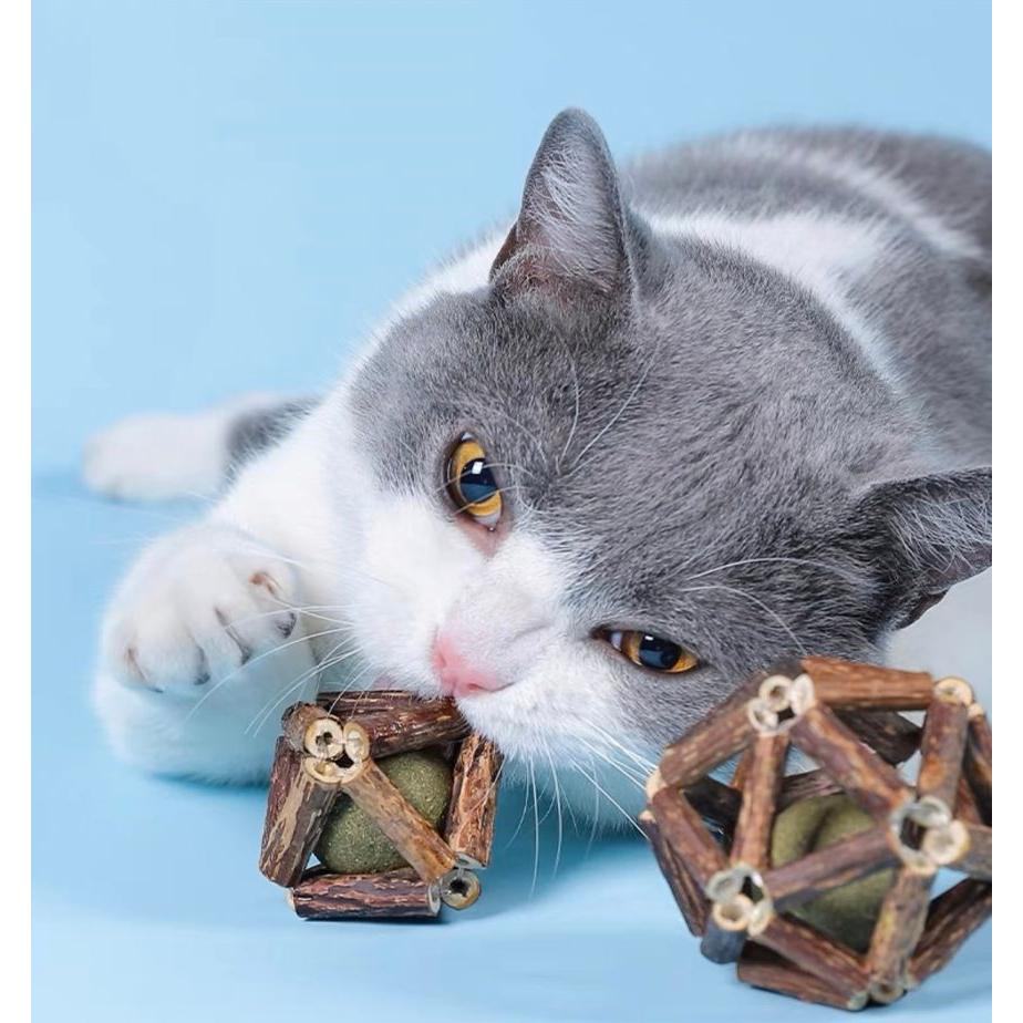 【貓咪玩具】貓這裡 現貨 Natural Fresh 自然鮮 天然木天蓼 手工貓薄荷玲瓏球(大)-細節圖6