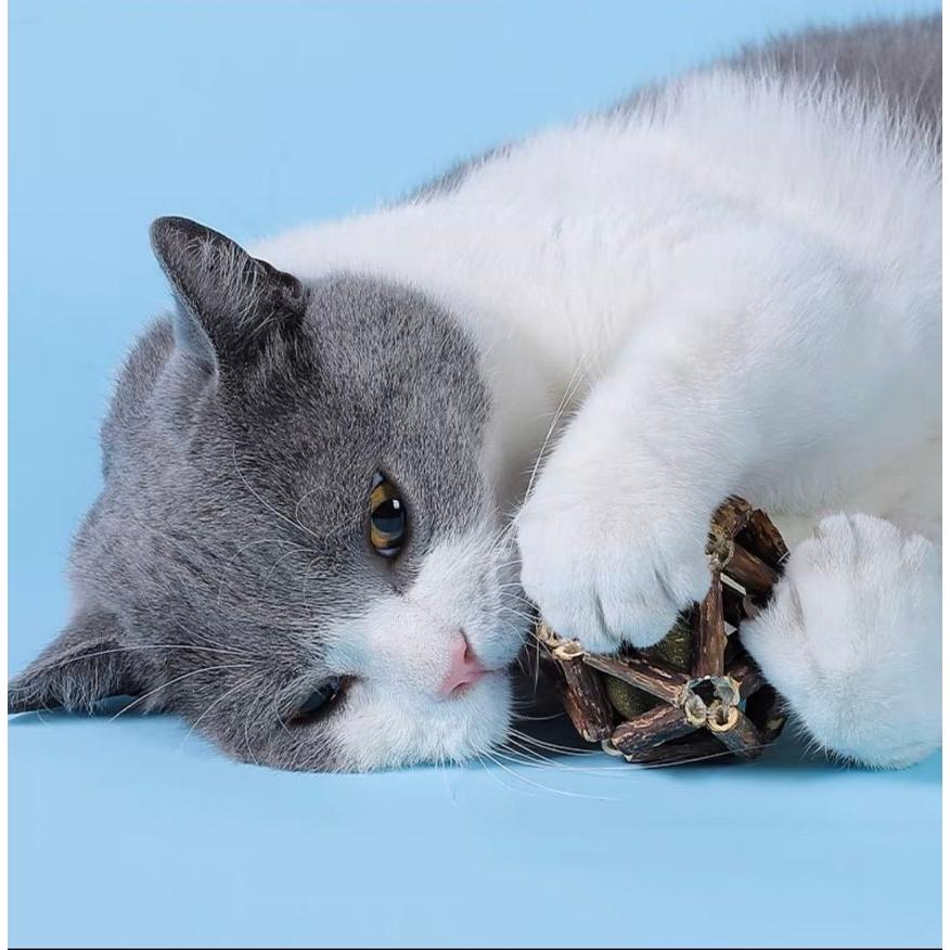 【貓咪玩具】貓這裡 現貨 Natural Fresh 自然鮮 天然木天蓼 手工貓薄荷玲瓏球(大)-細節圖7