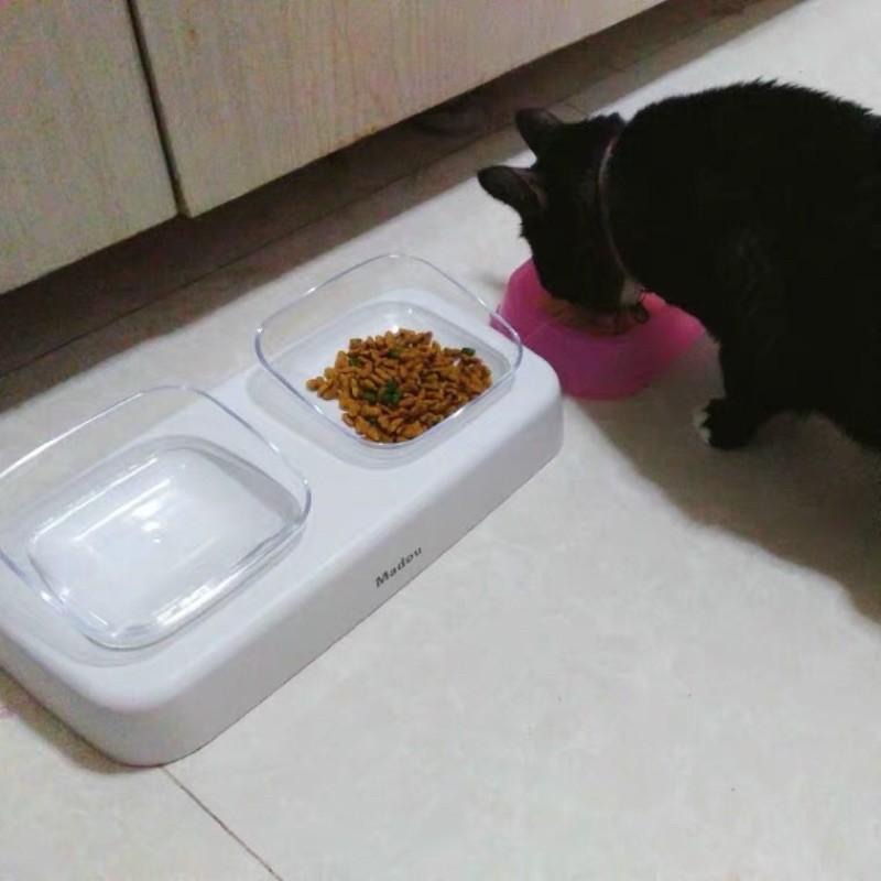 【貓咪用品】貓這裡 現貨 寵物斜口碗 貓咪用品 貓食盆 簡約貓碗-細節圖3