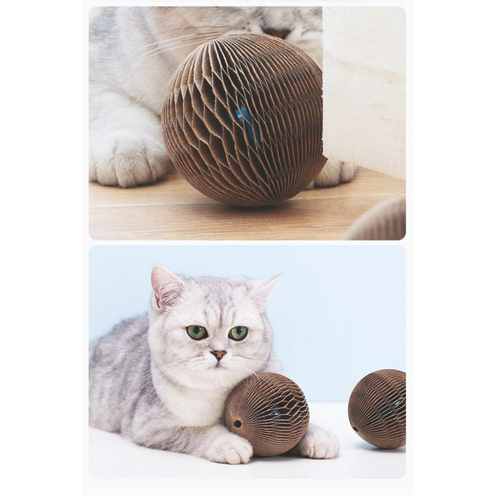 【貓咪玩具】貓這裡 現貨 貓玩具 瓦楞紙球 貓咪紓壓玩具-細節圖2