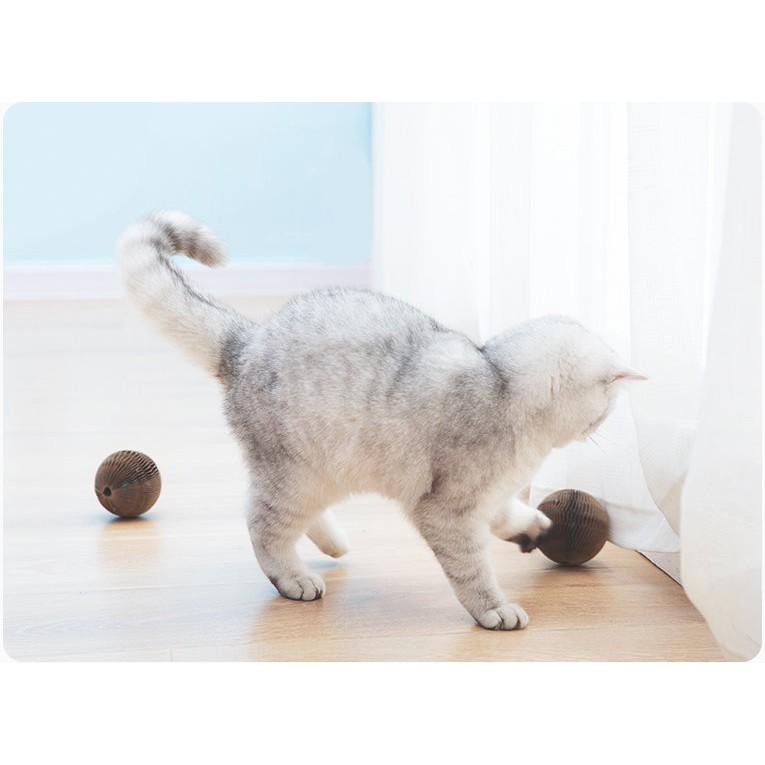 【貓咪玩具】貓這裡 現貨 貓玩具 瓦楞紙球 貓咪紓壓玩具-細節圖4