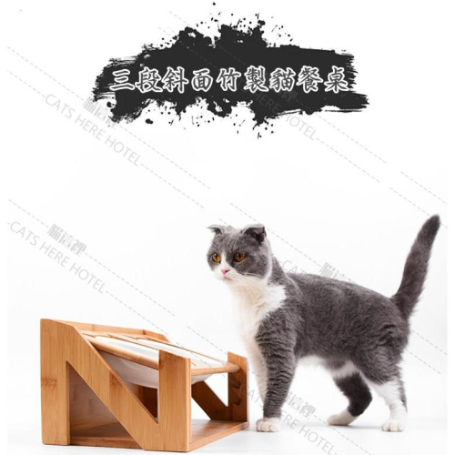 【貓咪用品】貓這裡 在台現貨 實木斜面可調節高度貓碗 寵物餐桌 寵物碗架 寵物碗 貓咪碗 陶瓷碗 【附陶瓷雙碗】