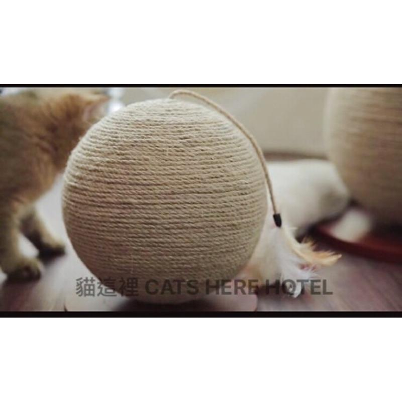 【貓咪玩具】貓這裡 預購 球型貓抓板 劍麻貓抓板 貓咪玩具 劍麻抓板-細節圖4