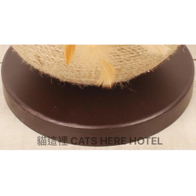 【貓咪玩具】貓這裡 預購 球型貓抓板 劍麻貓抓板 貓咪玩具 劍麻抓板-細節圖6