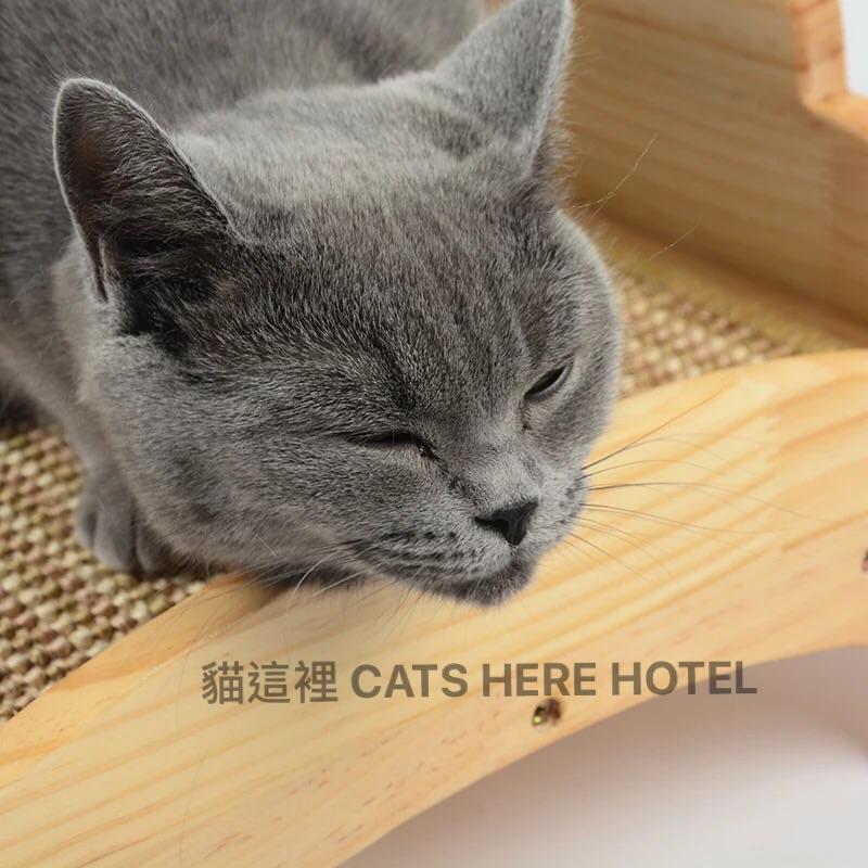 【貓咪用品】貓這裡 預購 實木貓睡窩 寵物床架 寵物床 貓咪睡床 送劍麻墊-細節圖6