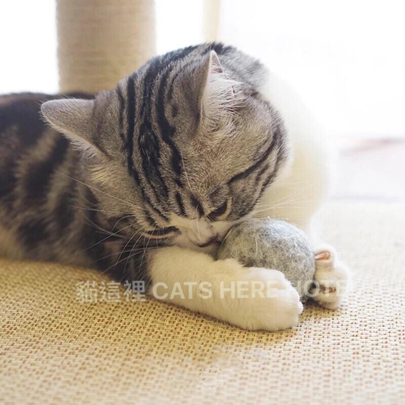 【貓咪玩具】貓這裡 現貨  羊毛氈玩具 貓薄荷玩具 逗貓玩具 羊毛球 球形玩具 貓咪用品-細節圖4