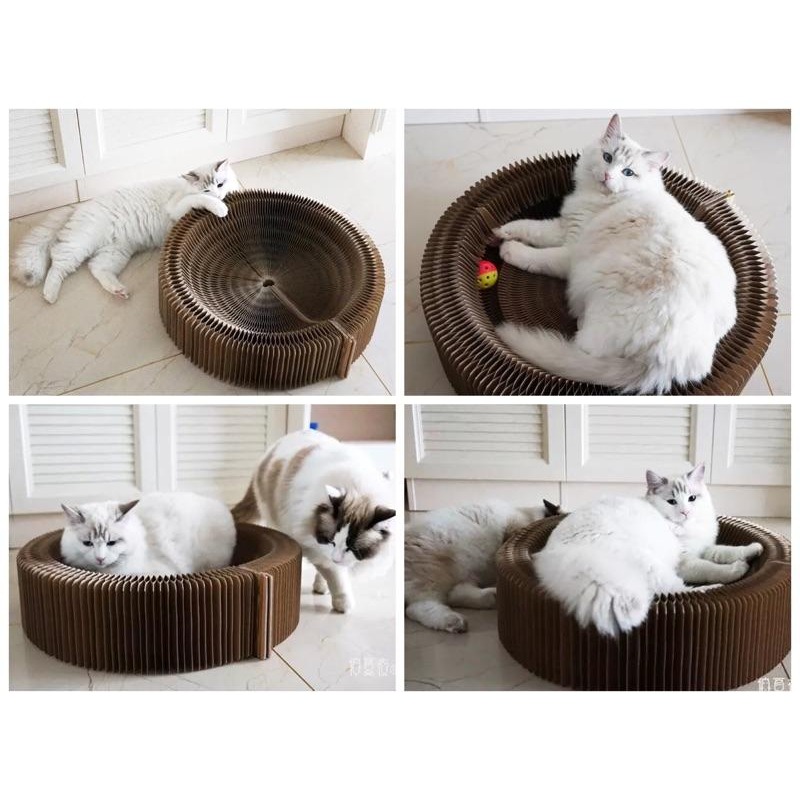 【貓咪玩具】貓這裡  貓抓板 風琴抓板 磨爪器 瓦楞紙貓窩-細節圖3