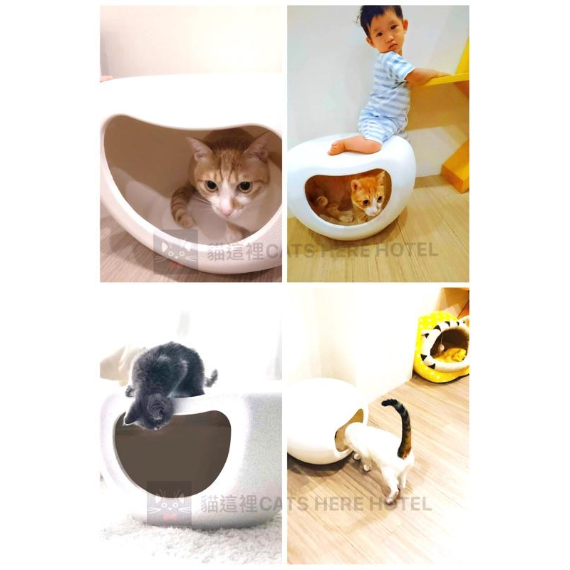 【貓咪用品】貓這裡 預購商品 坐椅結合式貓窩 家具椅子貓窩 造型貓窩 可水洗耐摔耐髒 貓窩 貓咪睡窩-細節圖8