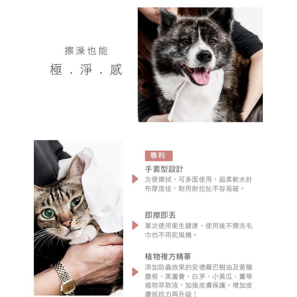 【寵物保養品】台灣製 蹦蹦跳 寵物擦澡手套(5片/包)  寵物清潔用品 寵物濕紙巾 貓咪洗澡 貓咪擦澡 貓洗澡-細節圖4