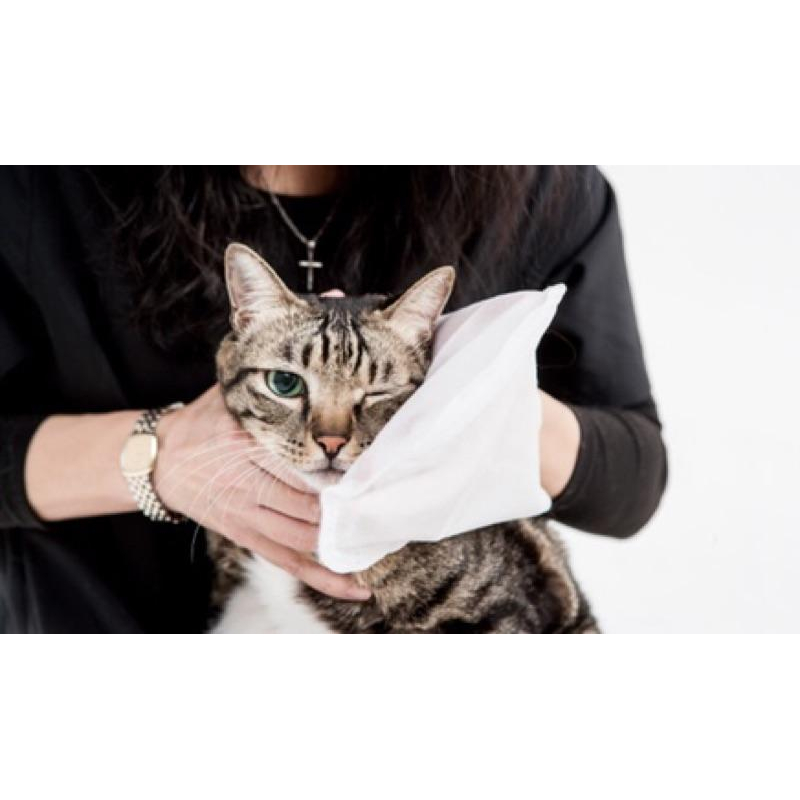 【寵物保養品】台灣製 蹦蹦跳 寵物擦澡手套(5片/包)  寵物清潔用品 寵物濕紙巾 貓咪洗澡 貓咪擦澡 貓洗澡-細節圖5